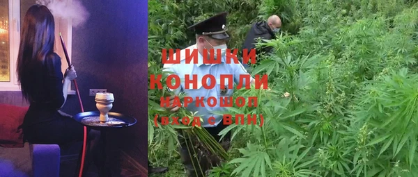 молекула духа Сосновый Бор